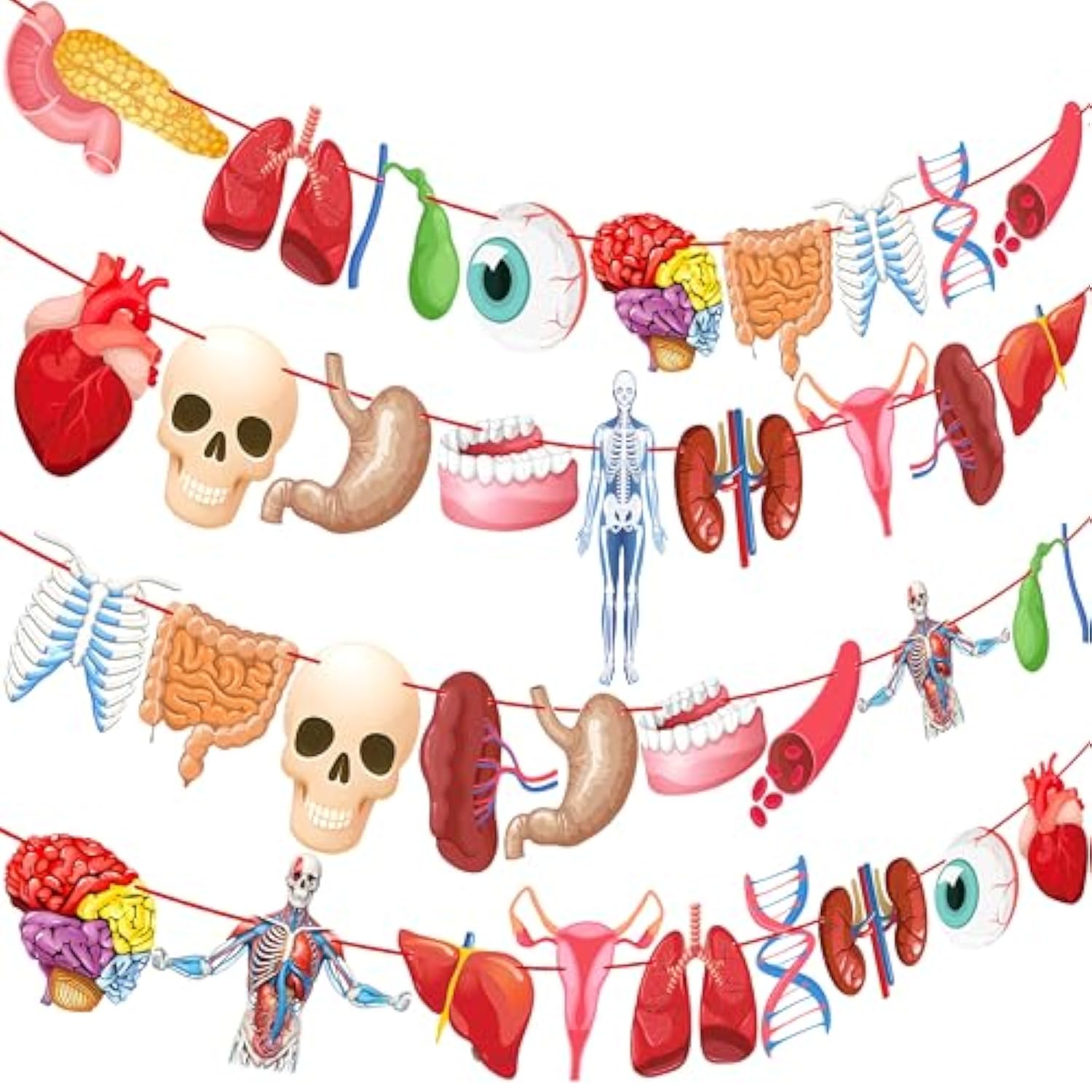 4Pcs Human Anatomy Body Part Theme Banners Human Anatomy Party Decorations Body Part Party Supplies For Doctors Birthday Party Nurse Graduation Party Supplies