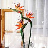 3 Pcs 32 Inch Orange Red Large Bird Of Paradise Permanent Flower,Flower Part Is Made Of Soft Rubber Pu No Fade,Artificial Flower Plants For Home Office, Flower Stem 0.5 Inch