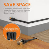 Cat7 10Ft Ethernet Cable Black-10Gbps Shielded & Ground Wire Internet Network