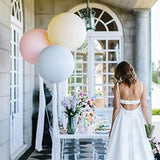 15Pcs 36 Inch Large Round Latex Balloons, Jumbo Thick Latex Macaron As
