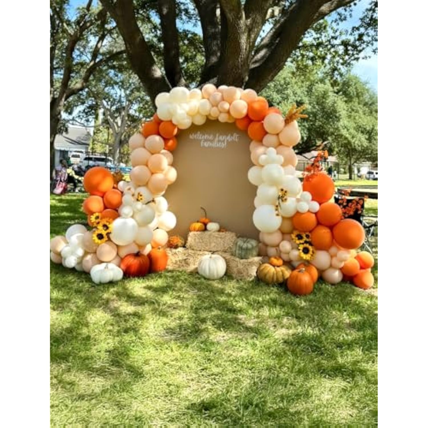 143Pcs Fall Thanksgiving Balloon Arch Kit Sand Orange Gold for Baby Shower Party