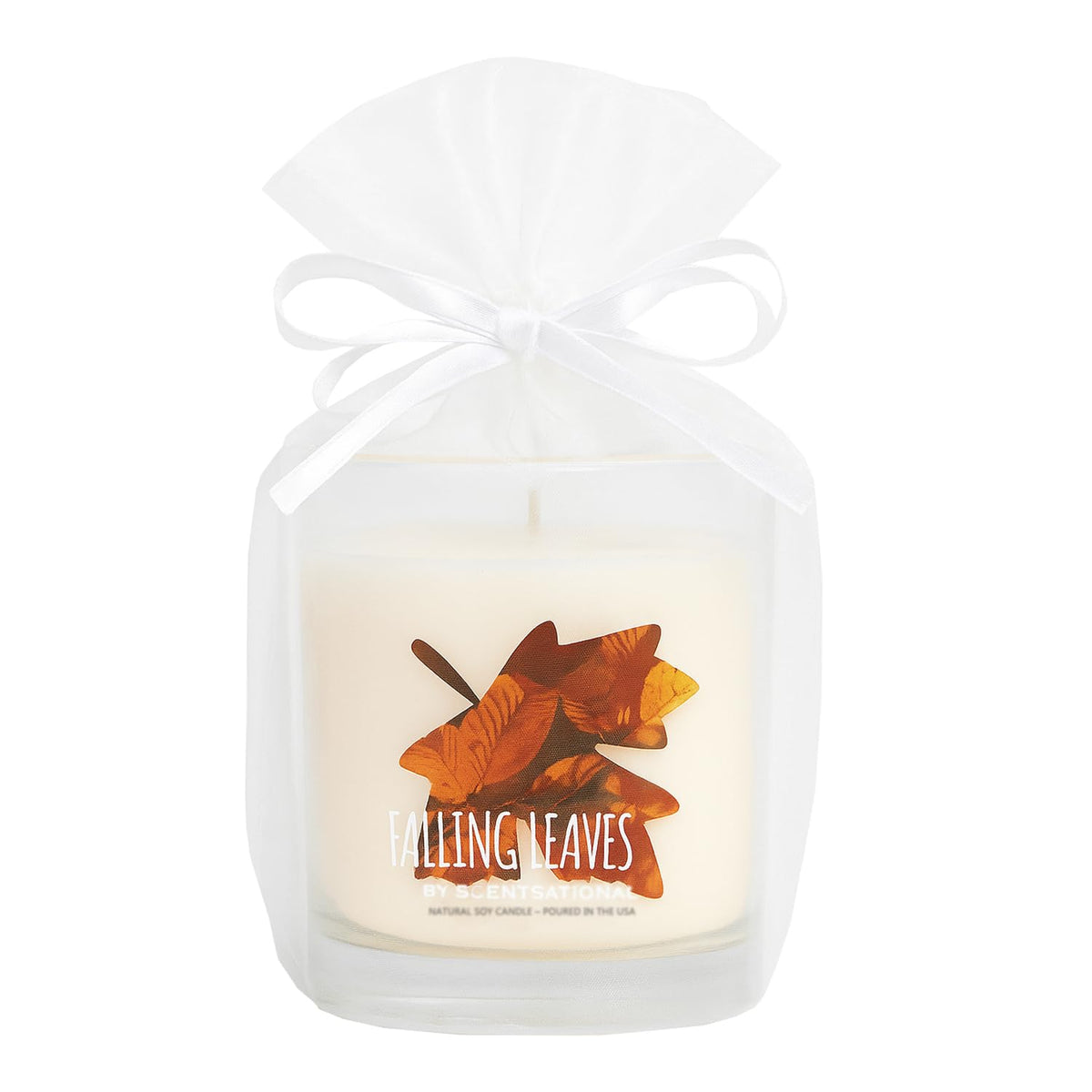 Falling Leaves Soy Candle – 11 Oz Jar Candle With Cozy Autumn Scent – Non-Toxic Fall Candles For Home Decor, Gifting & Seasonal Ambience – Hand Poured Soy Blend Scented Candles