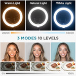 Overhead Phone Mount With Ring Light, 10" Led Selfie Ring Light For Desk With Phone Holder And Remote Canvas Lamp Light For Youtube Live Stream Cooking Video Recording Vlog Zoom Meeting