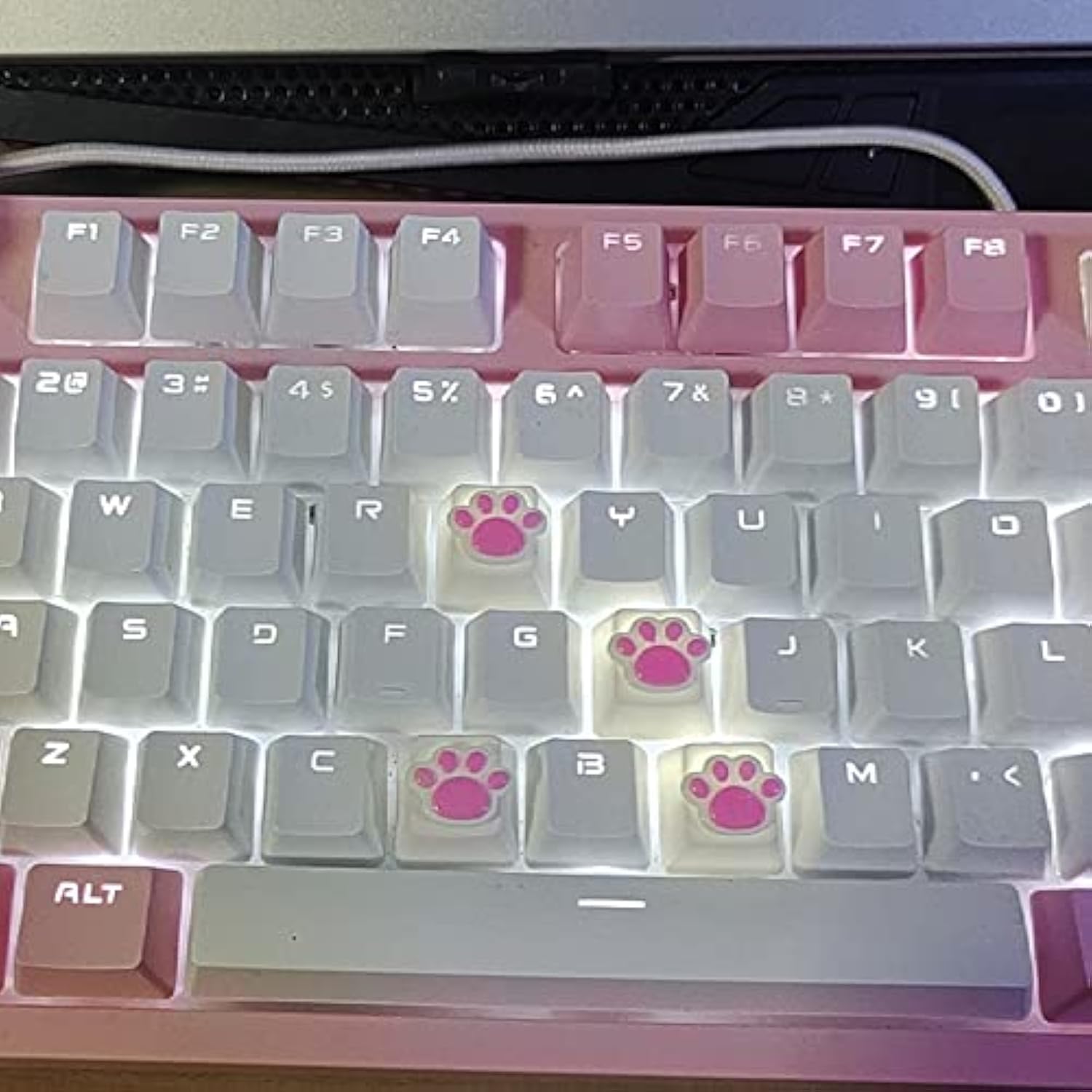 4 Pack Custom Oem R4 Keycaps Pbt Mechanical Keyboard Keycaps Cute Cat Paw Key