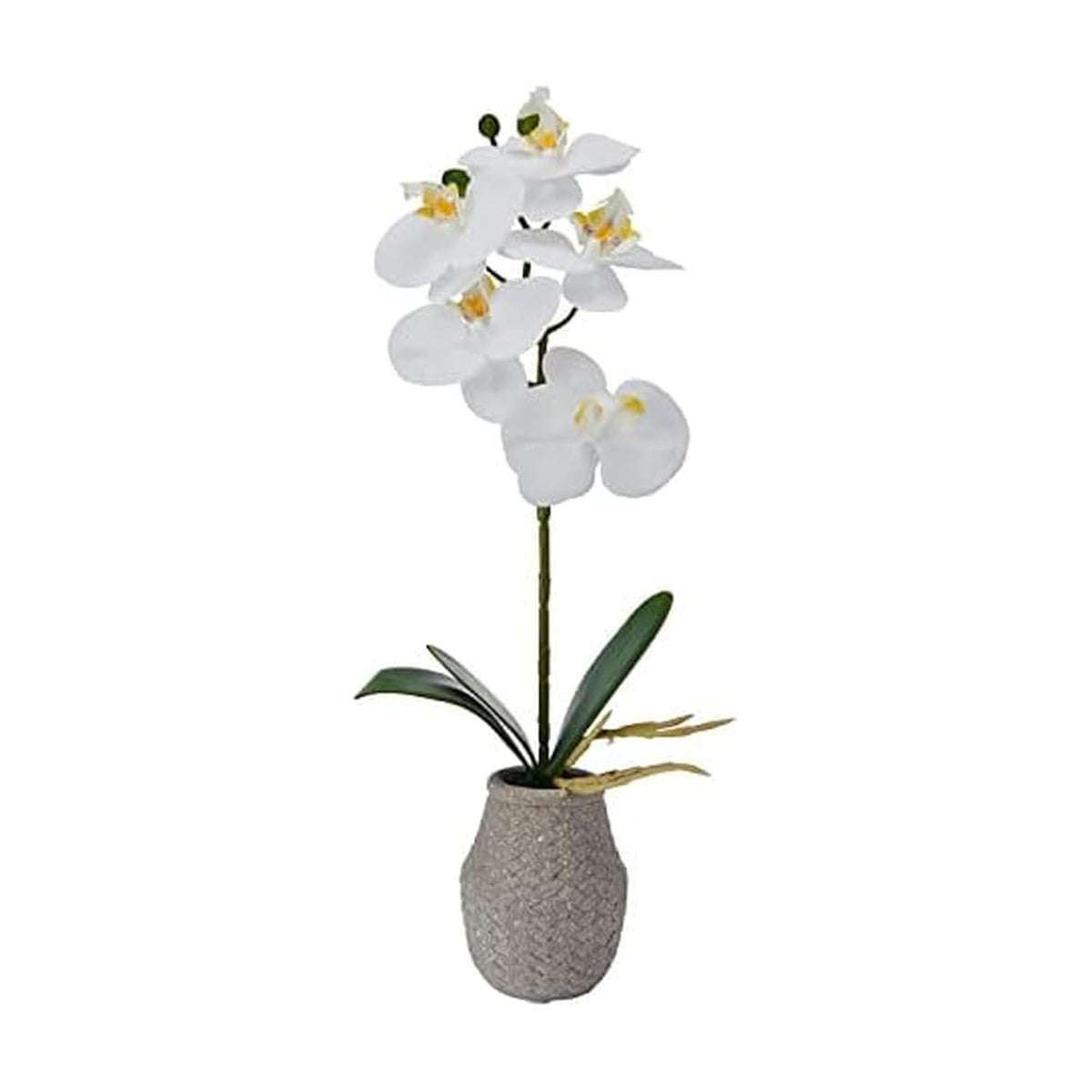 Mikasa Artificial Orchid in Pot, Real Touch Phalaenopsis Orchid, Embossed Weave Cement Pot, 16-Inch Single Branch, White/Yellow