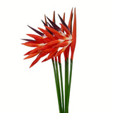 Artificial Flowers 6Pcs Bird Of Paradise 23" Permanent Flower,Strelitzia Tropical Imitation Plant Flower Bouquets For Office Home Party Decorations,Arrangement Potted Plants (Orange)