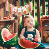Watermelon High Chair Banner - One In A Melon Highchair Banner 1St Birthday, Fruit Theme First Birthday Decorations For Anniversary, Baby Shower, Cake Smash, Photo Props...