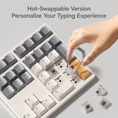 Kn34 Wired Mechanical Number Pad- 34 Keys Hot Swappable Numeric Keypad With White Backlight& Pbt Keycaps For Laptop, Macbook, Pc Desktop, Compact Keyboard(Retro Beige,Brown Switch)