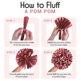 20pcs Tissue Paper Pom Poms in Blush, Rose, Mauve & Cream for Party Decor