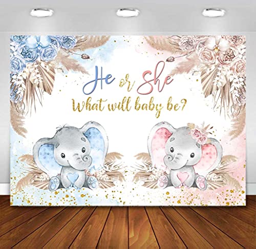 Boho Elephant Gender Reveal Backdrop He or She What Will Baby Be Gender Reveal Party Decorations Pink Blue Pampas Grass Photography Background Boy or Girl Baby Shower Photoshoot Props 7x5ft