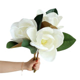 3Pcs Artificial Magnolia Flowers, Faux White Magnolia Real Touch Silk Flowers Large Flower Head Magnolia Bouquet For Home Office Wedding Holidays Party Decor
