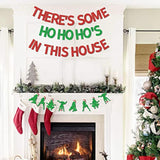 Funny Christmas Banner There'S Some Ho Ho Hos In This House Banner Garland Red And Green Christmas Winter Holiday Birthday Bachelorette Party Decorations