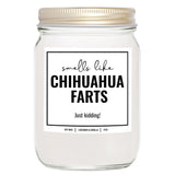 You Nique Designs Smells Like Chihuahua Farts Soy Candle 8Oz - Dog Farts Candle Chihuahua Owner Presents - Funny Gifts For Women, Men - Dog Mom Gifts For Pup Lovers (Lavender & Vanilla)