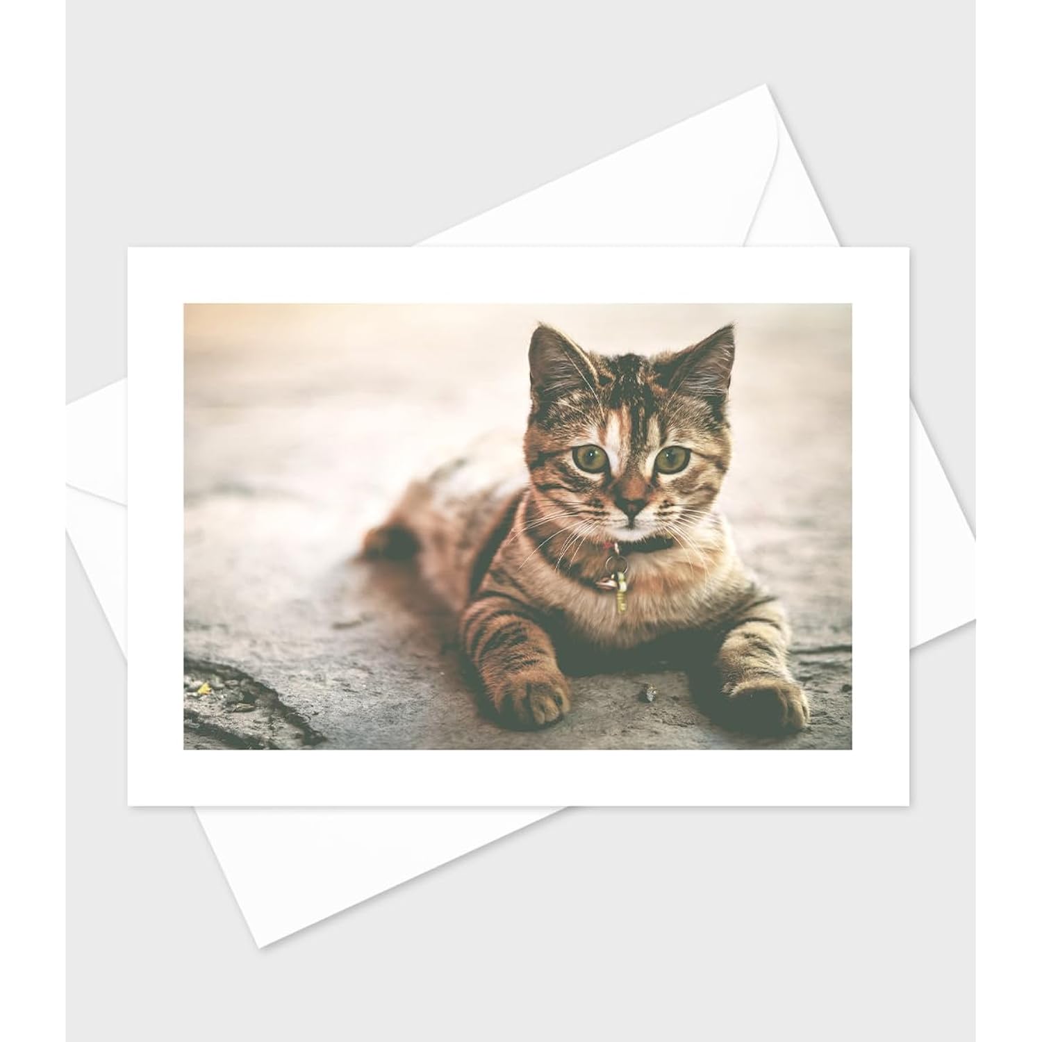 Adorable Cats And Kittens Greeting Cards-Set Of 10 All Occasion 5X7 Note Cards With Envelopes. Blank Inside. Cute Photos Of Lovable Furbabies!