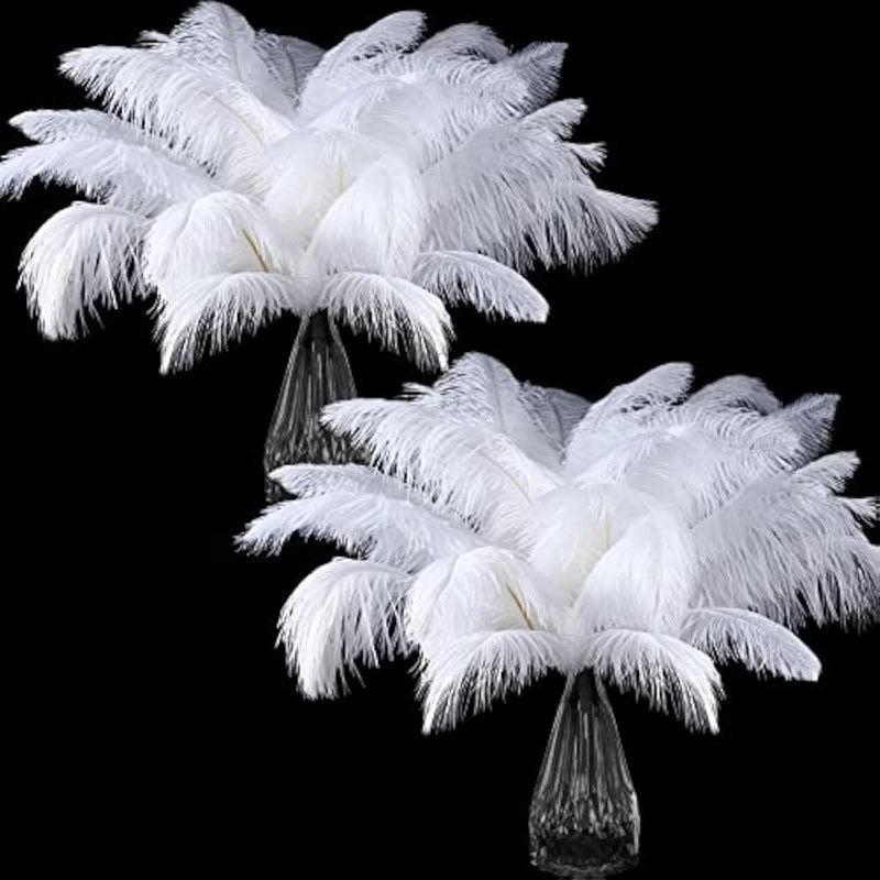 White Ostrich Feathers For Centerpieces: 60 Pcs 12-14 Inches (30-35 Cm) Ostric