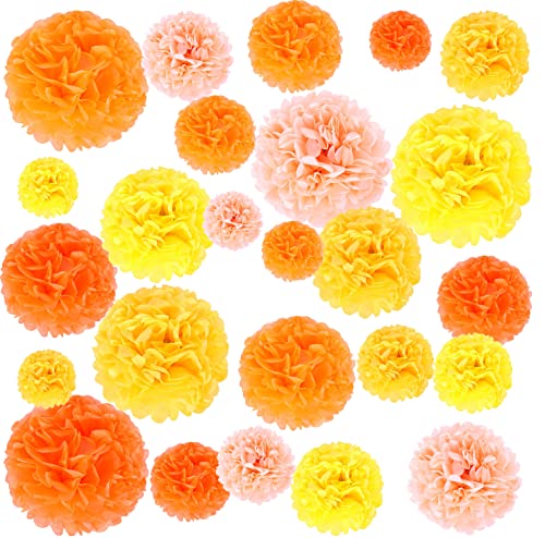 Paper Pom Poms, 25 Pcs of 6, 8, 10, 12, 14 Inch Flower Balls, Tissue Hanging Paper Pom Poms for Birthday, Wedding, Baby Shower Party Decorations (Orange)