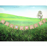 Gender Reveal Party - Baby Shower Decorations - "Boy Or Girl" Burlap Banner By Akak Store - Pregnancy Announcement