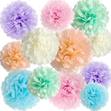 Pastel Rainbow Tissue Paper Pom Poms: Party Decorations, 12-Piece Set