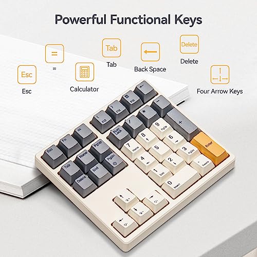 Kn34 Wired Mechanical Number Pad- 34 Keys Hot Swappable Numeric Keypad With White Backlight& Pbt Keycaps For Laptop, Macbook, Pc Desktop, Compact Keyboard(Retro Beige,Brown Switch)