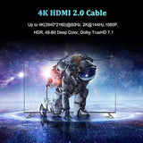 Short Hdmi Cable 1 Foot 2-Pack, 4K 1Ft Hdmi To Hdmi Cable High Speed Hdmi 2.0