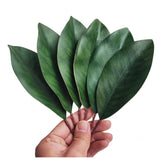 Bigger Artificial Magnolia Leaves-Fake Green Magnolia Leaves For Wedding Decorations,Bookmark,Fake Leaves Decor,Diy Magnolia Wreaths,Home Decor