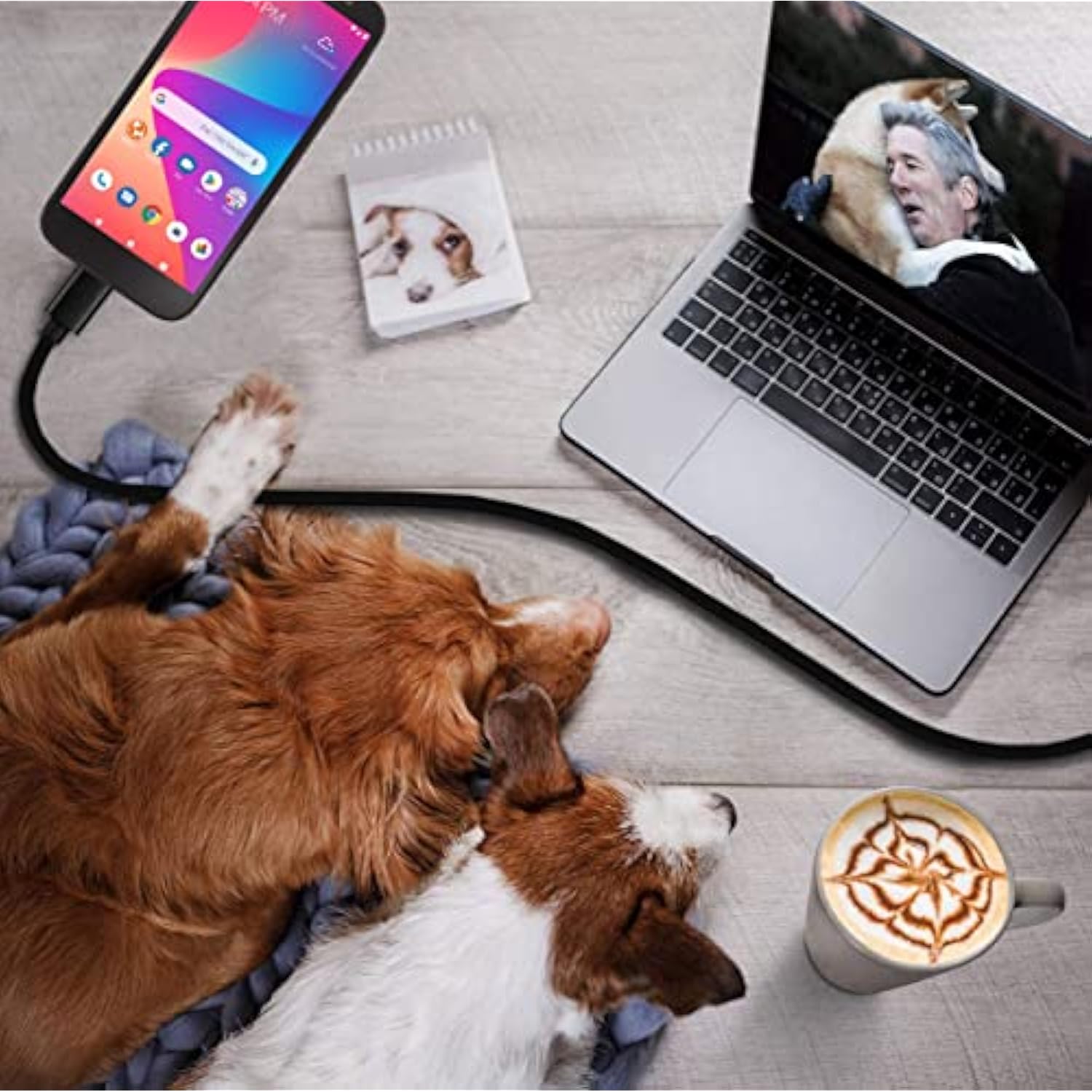 Blu Android Phone Charger, 5V Usb C Wall Charger Adapter Fast Charging For Blu View 3, View 2, M8L, M10L, G9, G90 Pro, G91 Max, G91 Pro, G91S, G50 Mega, G70, Vivo Xi Smartphones 5Ft Charge Cable Cord