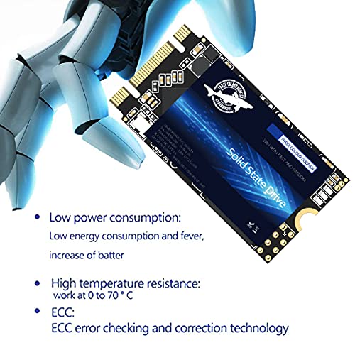 Dogfish M.2 2242 Ssd 500Gb 3D Nand Tlc Sata Iii 6Gb/S, Internal Solid State Drive - Compatible Laptop Pc Desktop (M.2 2242 500 Gb)