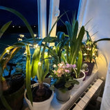 Solar Flower String Lights, 50 Led Outdoor Patio Lights Waterproof, Fairy Lights For Outside Patio Garden Fence Yard Chr