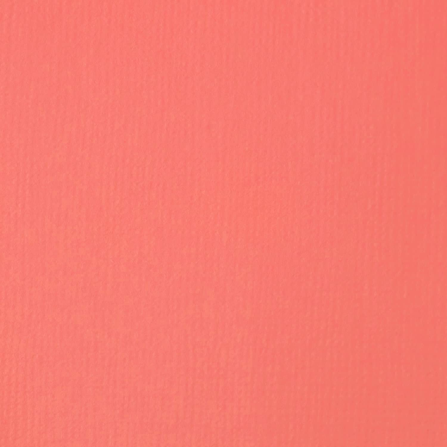 LIQUITEX Acrylic Paint Basics B-204, Rose Pink, 4.0 fl oz (118 ml)