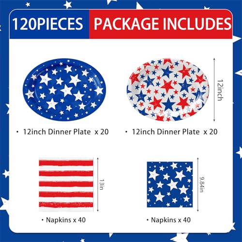 120pcs Veterans Day Plates Napkins Patriotic Party Supplies