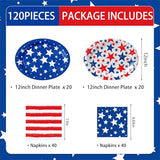 120pcs Veterans Day Plates Napkins Patriotic Party Supplies