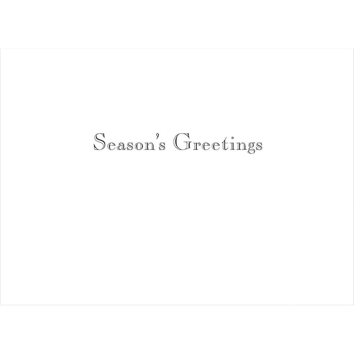 Kids In Central Park, New York Christmas Cards Boxed With Envelopes Set Of 12 Holiday Cards And 12 Envelopes. Made In Usa