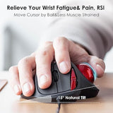 Sanwa Wired Ergonomic Trackball Mouse, Optical Rollerball Mice, Programmable S