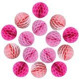 30Pcs 4Inch Pom Poms Tissue Paper Honeycomb Balls Flower Ball Wall Decor Pom Poms Decoration For Birthday Party Wedding Nursery Shower (Pink Set, 30Pcs-4Inch)