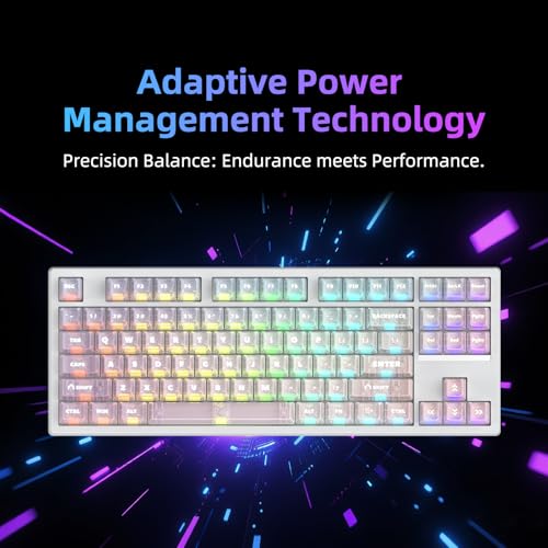 Fe87 V2 Wired Mechanical Keyboard, Dual 8Khz Polling Rate, Support Sodc/Latency As 0.125Ms/Argbhot Swappable, Gasket Sturcture Gaming Keyboard (White/White Snake Switch)