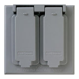 Legrand Ca82G Cast Weatherproof Outdoor Cover, 2 Gang, 2 Duplex Receptacle Outlet Opening, Gray (1 Count)