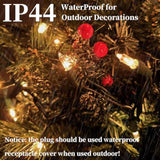 Christmas Lights Clear White 100 Count Incandescent String Light Ul Certified Connectable 21Feet Christmas Tree Lights F