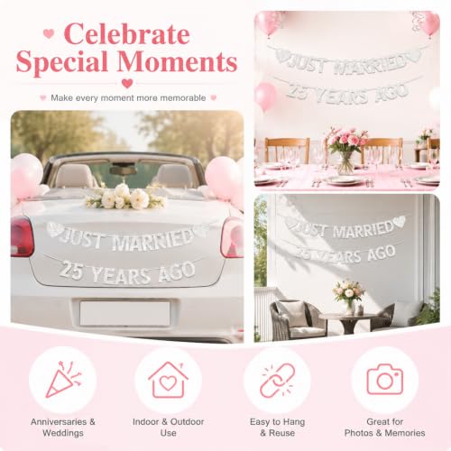 25th Wedding Anniversary Party Banner Decorations