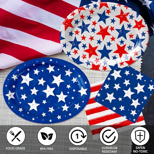 120pcs Veterans Day Plates Napkins Patriotic Party Supplies