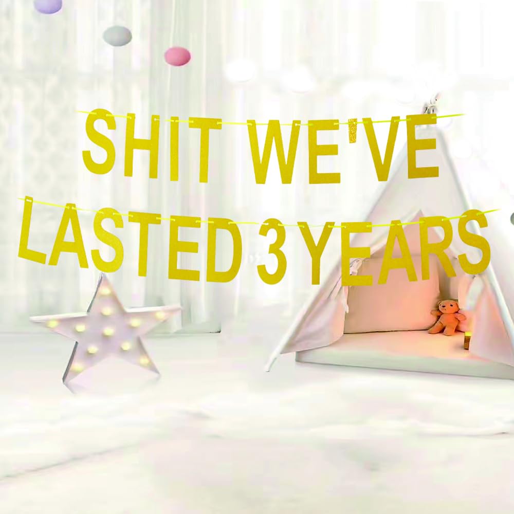 S-t We've Lasted 3 Years Banner, Funny Decorations for Happy 3th Anniversary Sign/Wedding/Graduation/Friendship/3th Camaraderie Anniversary Party Props Glitter Gold