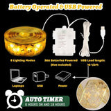Christmas Decorations, 2.5Inch X 33Ft 100 Led Christmas Tree Ribbon Lights With Remote Control, Battery Operated & Usb P
