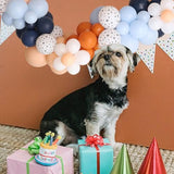 Balloons Garland,91Pcs Dog Paw Print Daisy Flower Cream Peach Matte Navy Blue Retro Burnt Orange Latex Balloons For Birthday Enagment Garden Pet Birthday Wedding Christmas Day Decorations