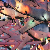 Mini Incandescent Christmas Lights - Multi-Color - 4' Green Wire - 20Ct