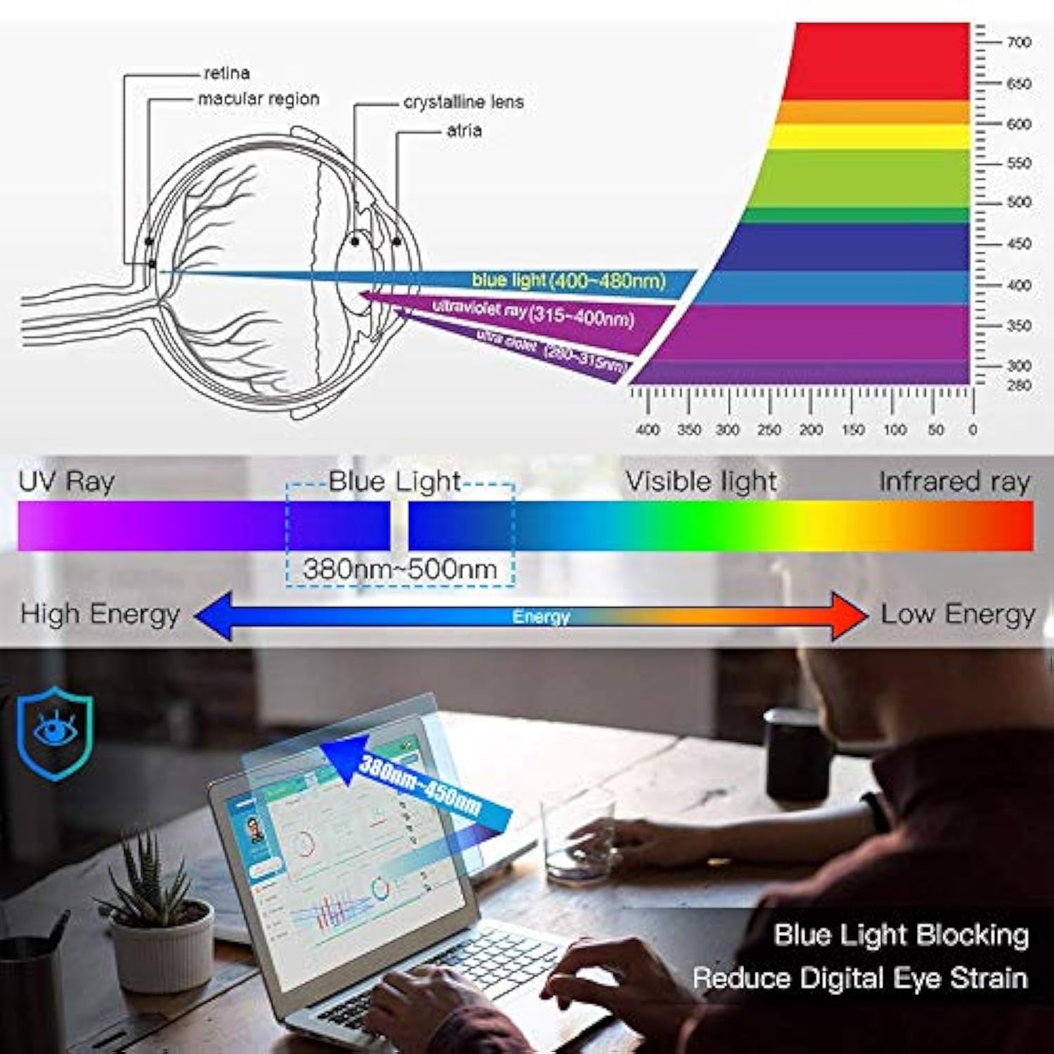 Anti Glare Anti Blue Light Screen Protector Compatible with 15.6”