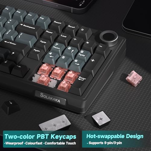 KI99 Pro Wireless Mechanical Keyboard with Quiet Switch, Hot Swappable Pre-Lubed Switches with RGB Backlit, Gasket Structure Computer Gaming Keyboard