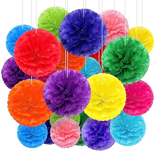 30 Pcs Large Tissue Paper Pom Poms 14 12 10 Inch, Multicolor