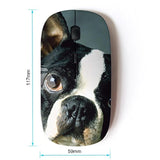 [ Optical 2.4G Wireless Mouse [ French Bulldog Boston Bull Terrier Dog ]