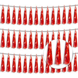 3P Metallic Fringe Tassel Banner Garland Foil Tinsel Streamer Wall Hanging Curtain Backdrop Banner For Parade Floats,Graduation Decorations, Wedding Party Decoration(Red)