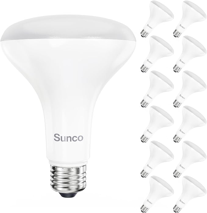 12 Pack BR30 LED Light Bulbs 16W 100W Equivalent 5000K Daylight 1600 Lumens Dimmable E26