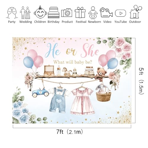 Gender Reveal He Or She Pink Photography Backdrop